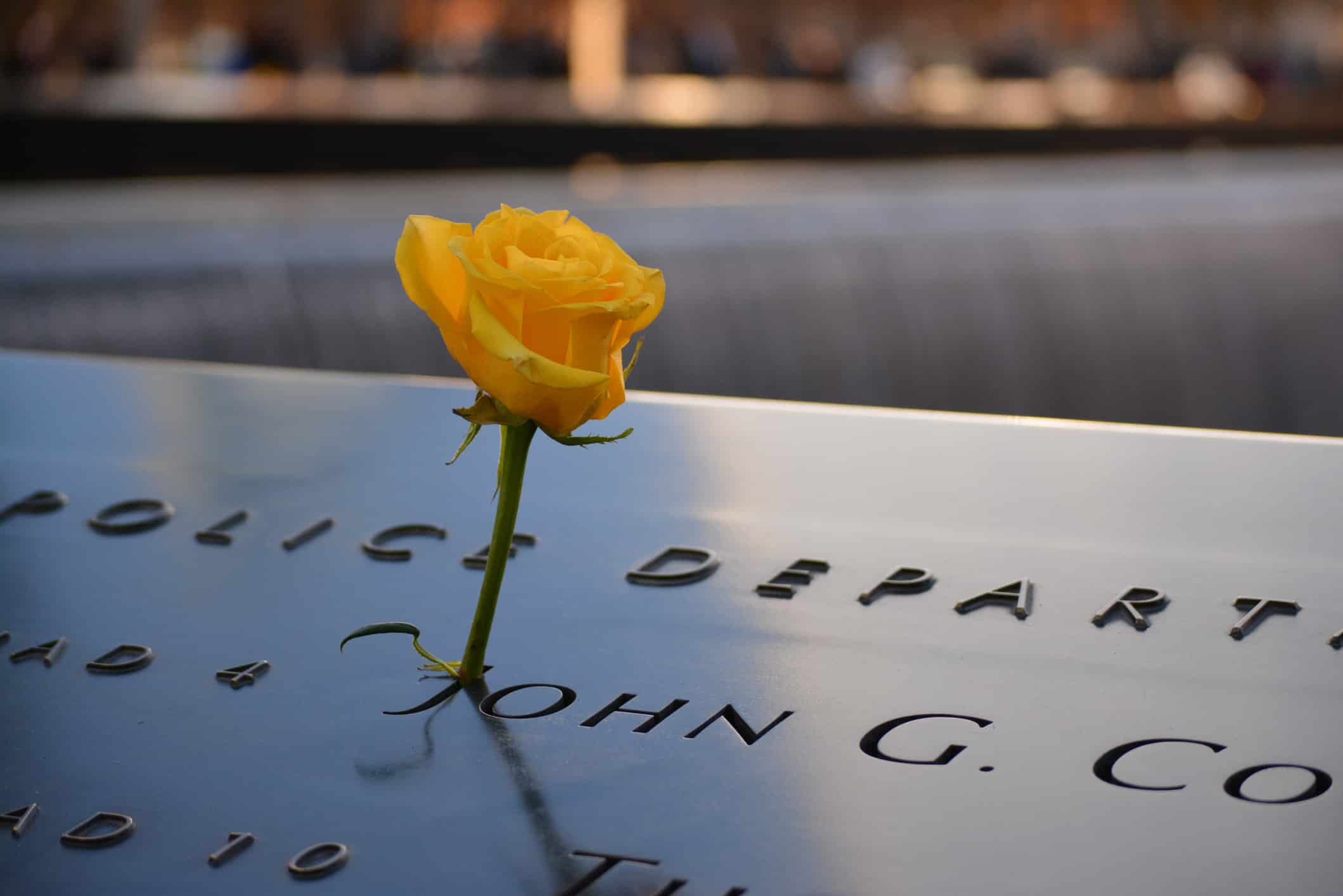 We Will Never Forget…